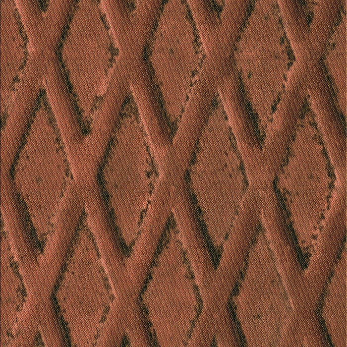 Patterned Red Rug, pat2157brn