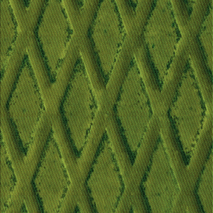 Machine Washable Transitional Dark Forest Green Rug, wshpat2157grn