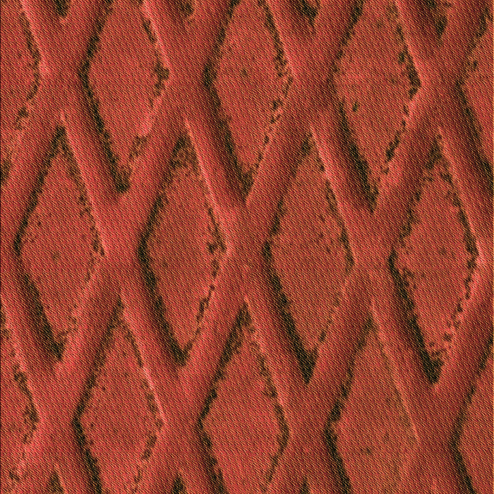 Patterned Orange Red Orange Rug, pat2157org