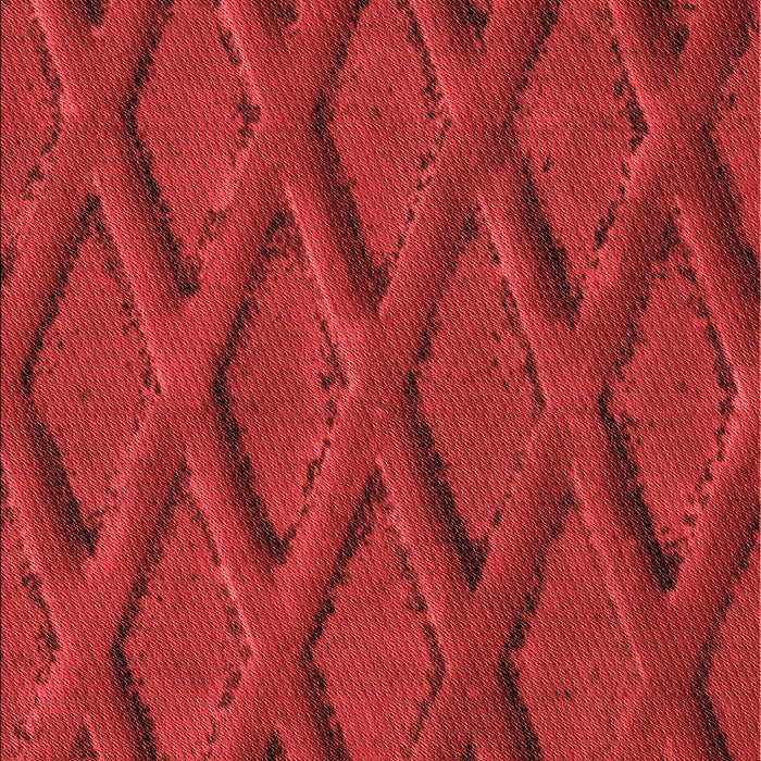 Machine Washable Transitional Red Rug, wshpat2157rd