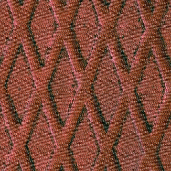 Machine Washable Transitional Orange Rug, wshpat2157