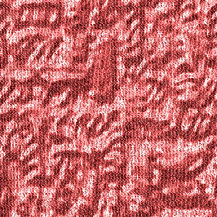 Machine Washable Transitional Red Rug, wshpat2159rd
