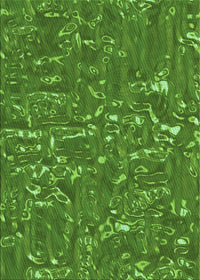 Machine Washable Transitional Apple Green Rug, wshpat2160grn