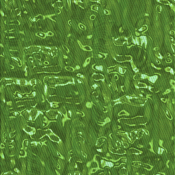 Patterned Apple Green Rug, pat2160grn