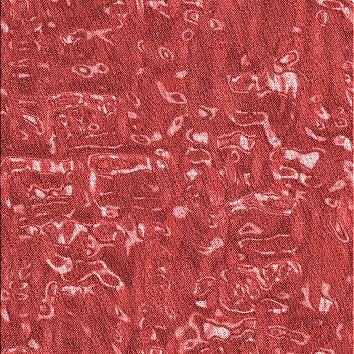 Machine Washable Transitional Red Rug, wshpat2160rd