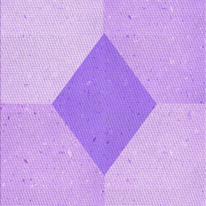 Machine Washable Transitional Purple Rug, wshpat2165pur