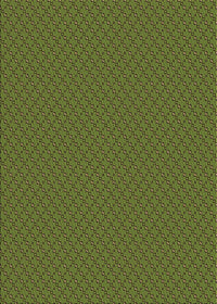 Machine Washable Transitional Army Green Rug, wshpat2166brn