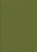 Machine Washable Transitional Army Green Rug, wshpat2166brn