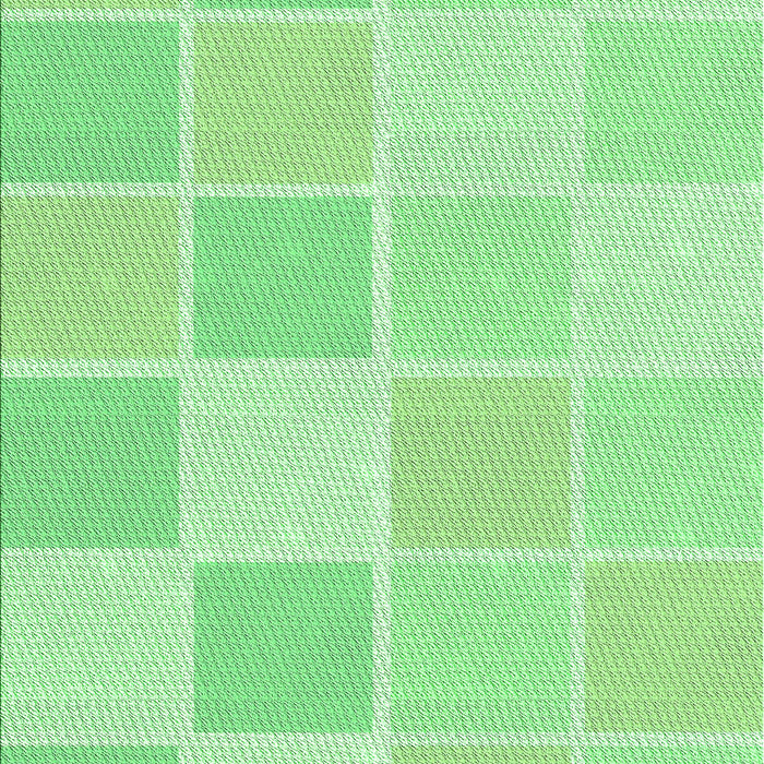 Machine Washable Transitional Green Rug, wshpat2169grn