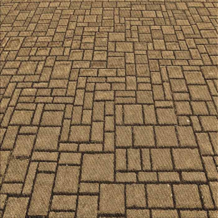 Round Machine Washable Transitional Caramel Brown Rug, wshpat2173brn