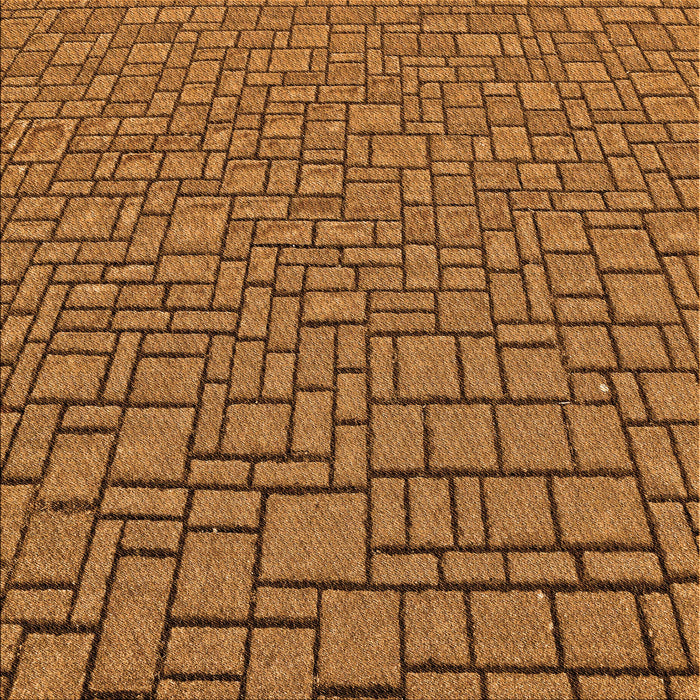 Round Machine Washable Transitional Saddle Brown Rug, wshpat2173org