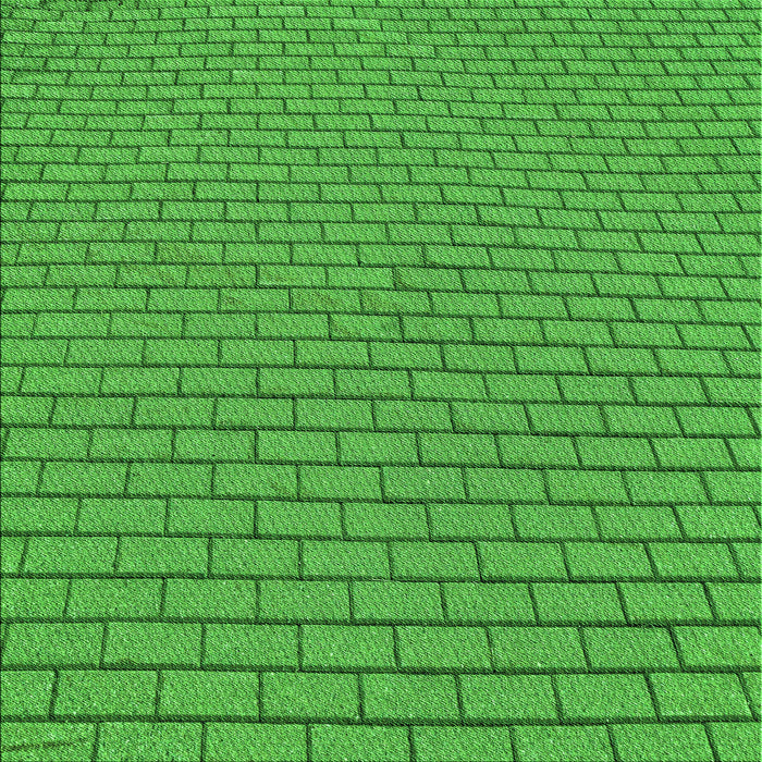 Round Machine Washable Transitional Green Rug, wshpat2174grn