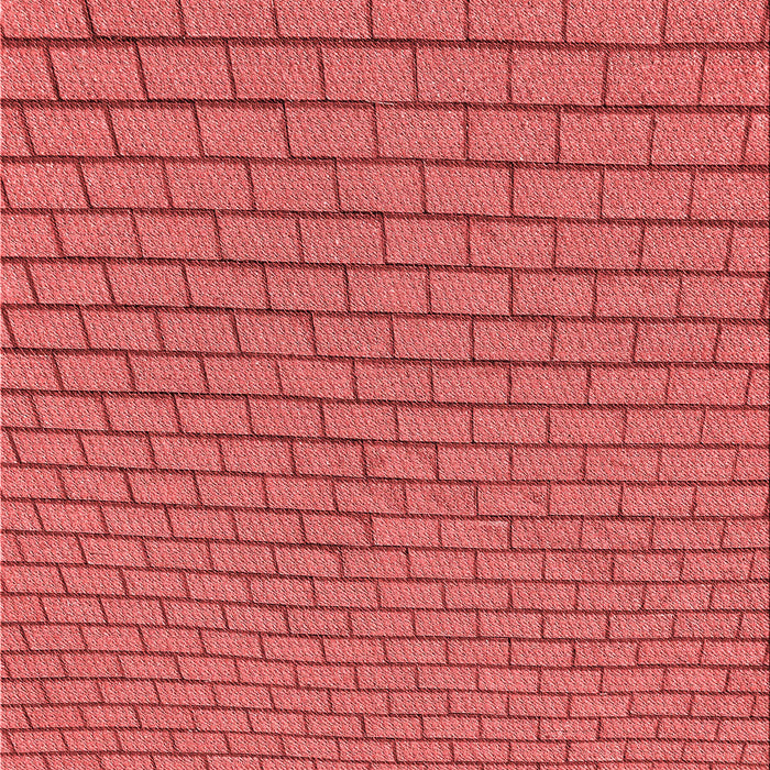 Machine Washable Transitional Red Rug, wshpat2174rd