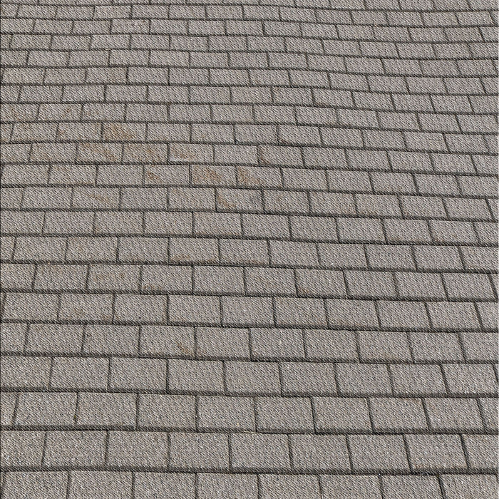 Patterned Gray Novelty Rug, pat2174