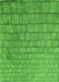 Patterned Green Rug, pat2175grn