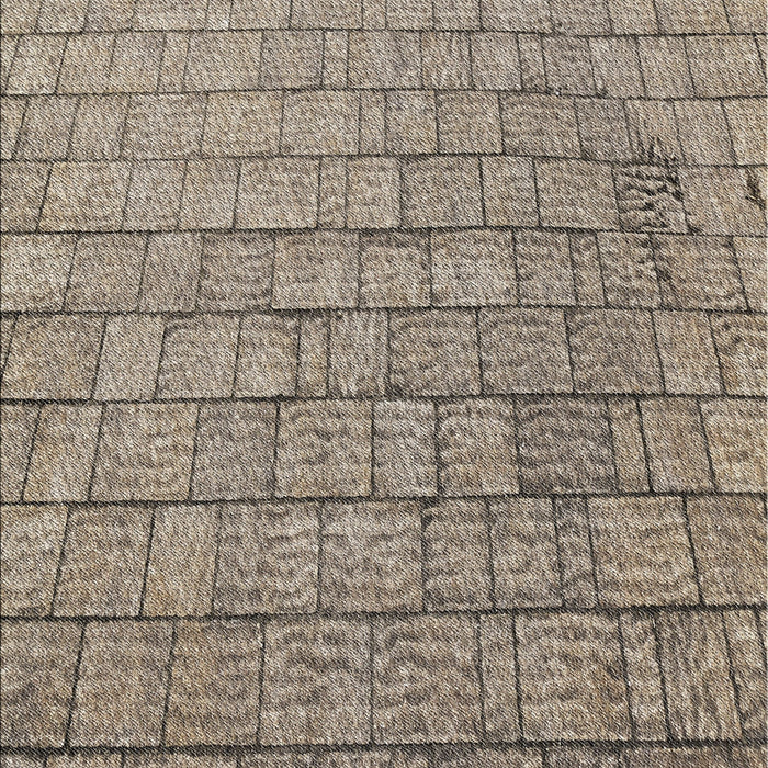 Patterned Tan Brown Novelty Rug, pat2175