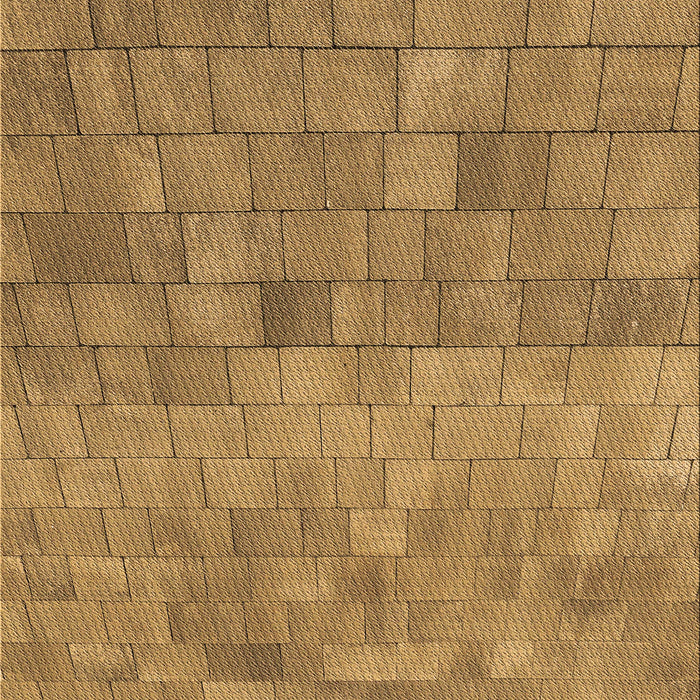 Machine Washable Transitional Yellow Rug, wshpat2177brn