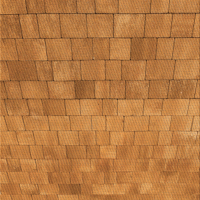 Patterned Dark Orange Rug, pat2177org