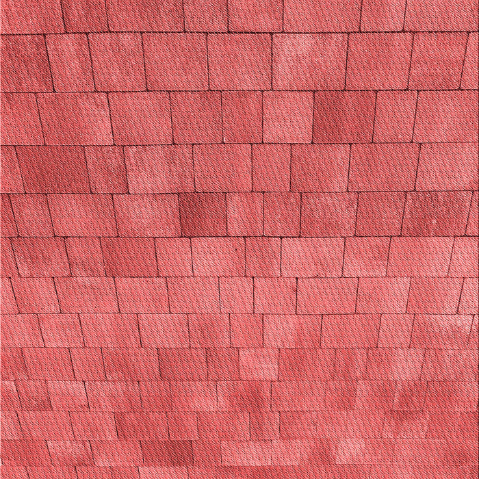 Machine Washable Transitional Red Rug, wshpat2177rd