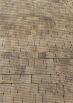 Machine Washable Transitional Red Brown Rug, wshpat2177