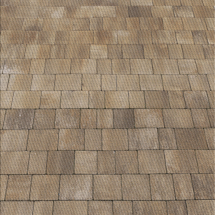 Machine Washable Transitional Red Brown Rug, wshpat2177