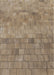 Patterned Reddish Brown Novelty Rug, pat2177