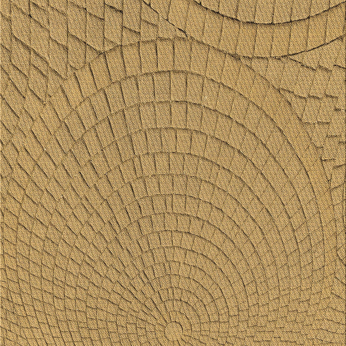 Machine Washable Transitional Yellow Rug, wshpat2178brn