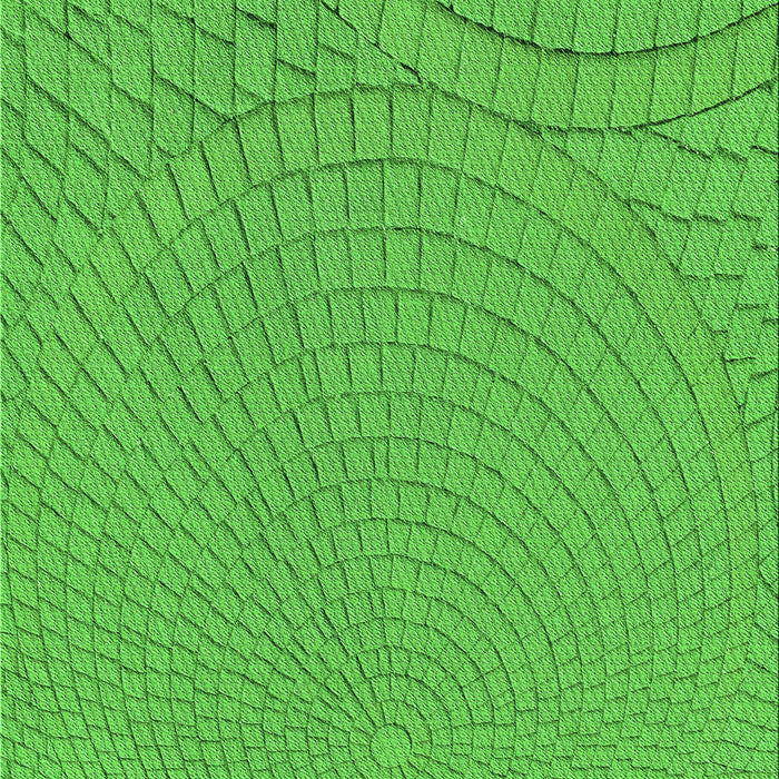 Machine Washable Transitional Neon Green Rug, wshpat2178grn