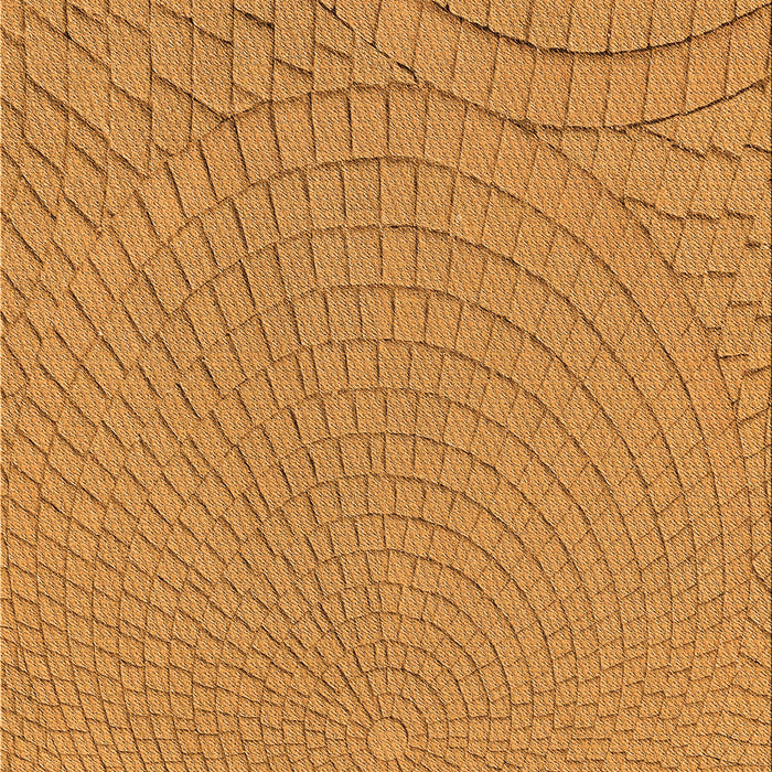 Patterned Sedona Brown Rug, pat2178org