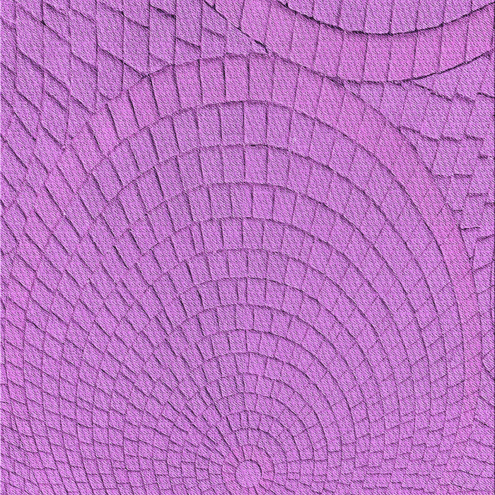 Machine Washable Transitional Violet Purple Rug, wshpat2178pur