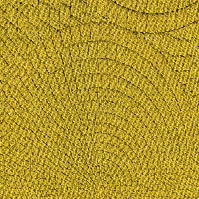 Patterned Dark Golden Brown Rug, pat2178yw