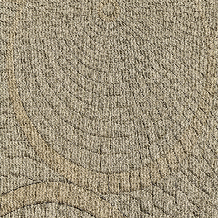 Machine Washable Transitional Brown Rug, wshpat2178