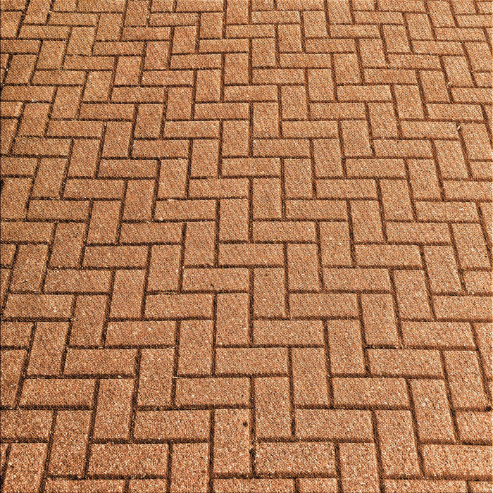 Round Machine Washable Transitional Orange Rug, wshpat2179org