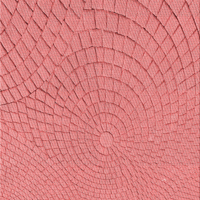 Machine Washable Transitional Fire Red Rug, wshpat2180rd