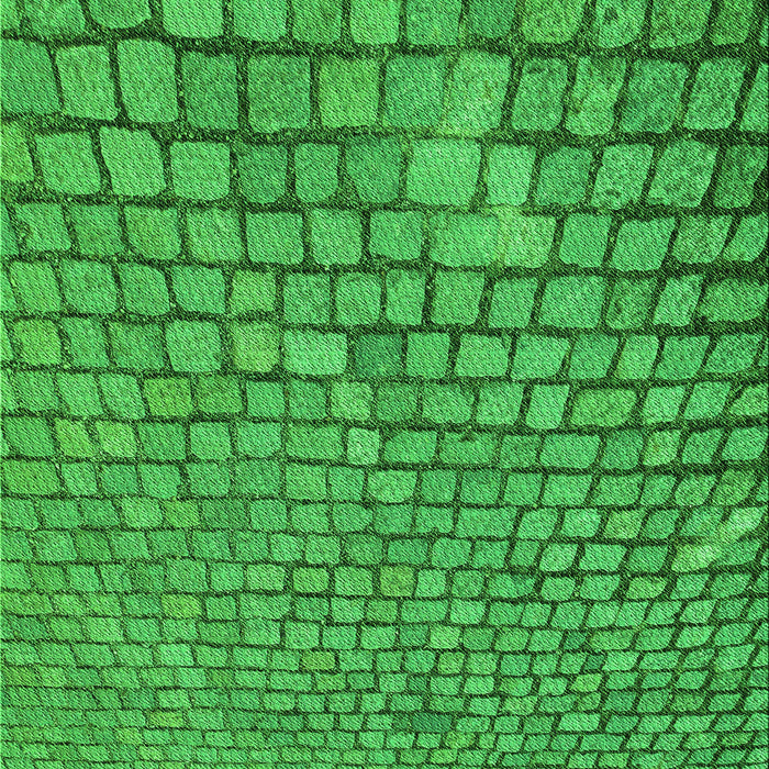 Machine Washable Transitional Green Rug, wshpat2181grn