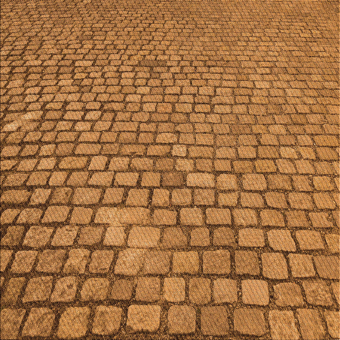 Round Machine Washable Transitional Mahogany Brown Rug, wshpat2181org