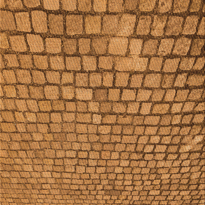 Patterned Mahogany Brown Rug, pat2181org