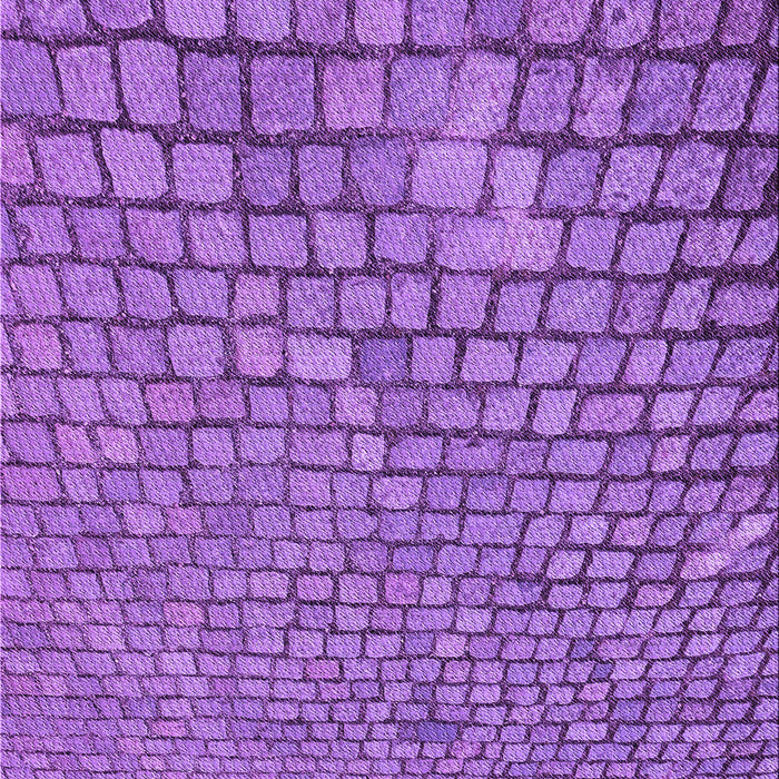 Machine Washable Transitional Purple Rug, wshpat2181pur