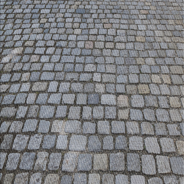 Patterned Black Novelty Rug, pat2181