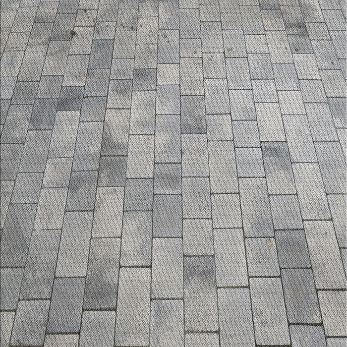 Patterned Cloudy Gray Novelty Rug, pat2182