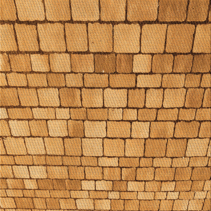 Machine Washable Transitional Sedona Brown Rug, wshpat2184org