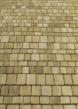 Machine Washable Transitional Oak Brown Rug, wshpat2184