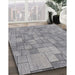 Machine Washable Transitional Silver Gray Rug in a Family Room, wshpat2185