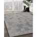 Patterned Ash Gray Novelty Rug in Family Room, pat2187