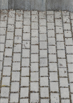 Patterned Carbon Gray Novelty Rug, pat2188