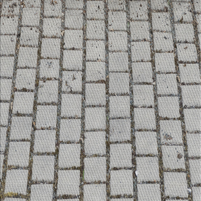 Patterned Carbon Gray Novelty Rug, pat2188