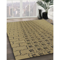 Machine Washable Transitional Red Brown Rug in a Family Room, wshpat2189