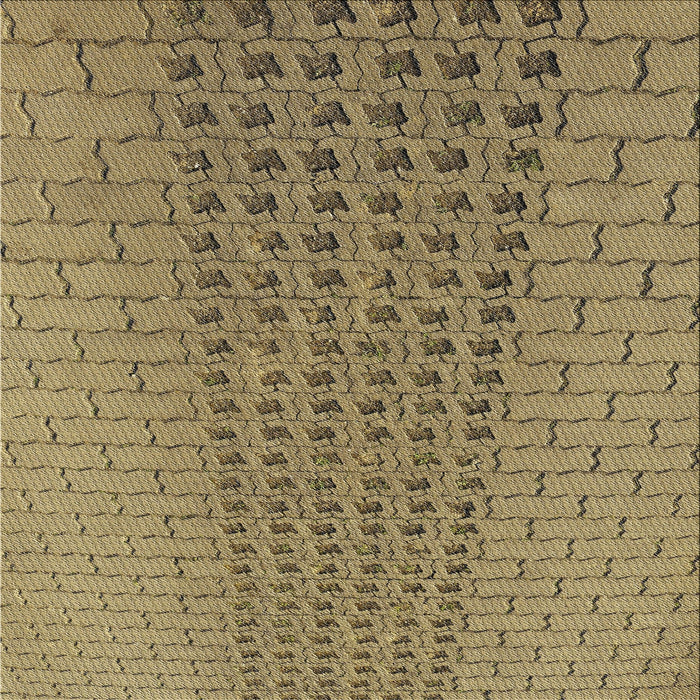 Sideview of Machine Washable Transitional Red Brown Rug, wshpat2189