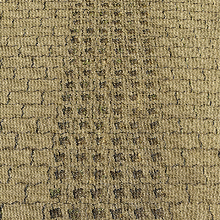 Patterned Reddish Brown Novelty Rug, pat2189