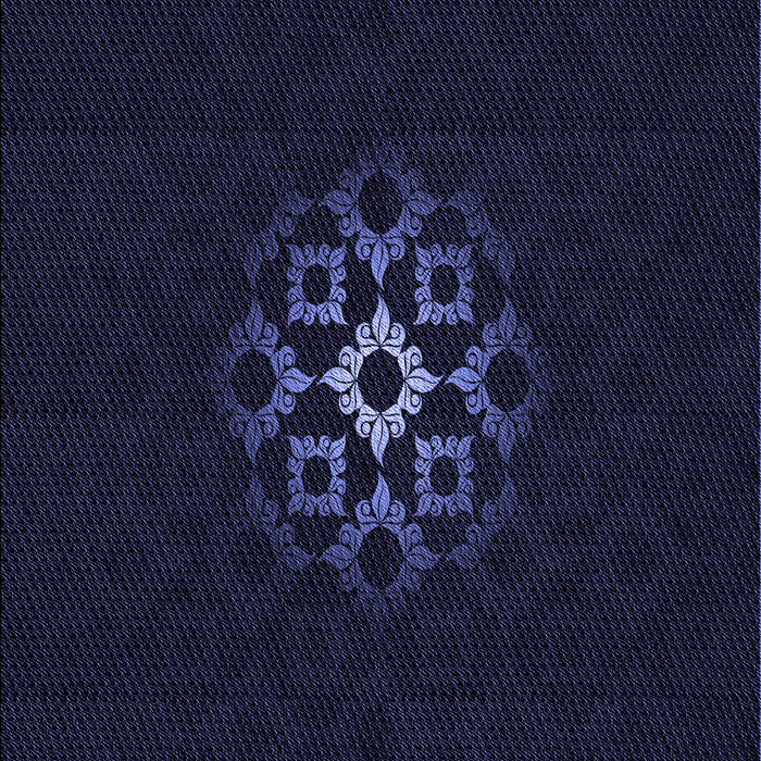 Machine Washable Transitional Black Rug, wshpat219blu